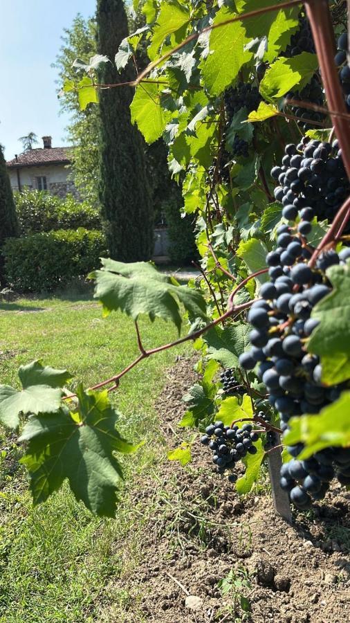 Gabriele Country House Desenzano del Garda Eksteriør bilde