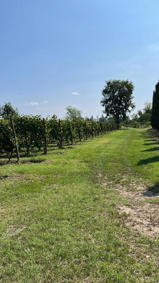 Gabriele Country House Desenzano del Garda Eksteriør bilde
